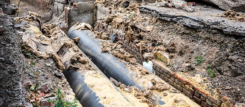 Commercial Sewer Tree Roots Damage Solutions in Midland, ON